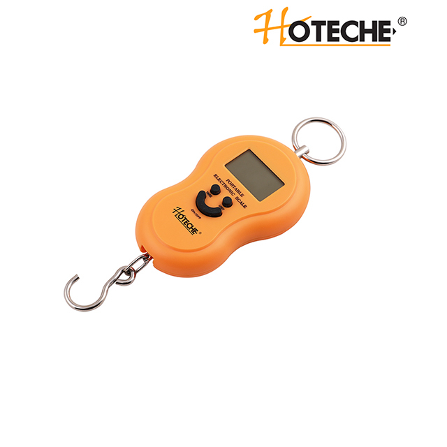 ÉCHELLE ÉLECTRONIQUE À FERMOIR